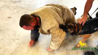 Police Canine Workshop | Grassroots K9 | K9s United