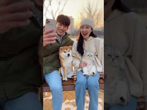 공원 벤치에서 인간미 터진 동물들
