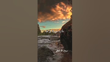 الشيخ محمد عبد الوهاب الطنطاوى --نوادر روعه..رحمه الله #تلاوات