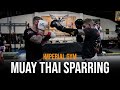 Technical muay thai sparring at imperial gym