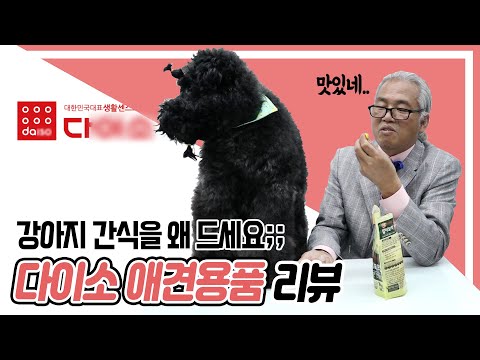 46년차 미용장인의 다이소 애견용품 리뷰 / 꿀잼리뷰 / 애견용품 / 강아지 / 고양이