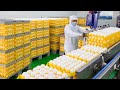 370,000 Eggs a Day! Automated Egg Factory, Liquid Egg Processing / 自動化洗選蛋工廠, 液體蛋加工 - Food Factory