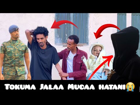 Tokuma Jalaa Mucaa Hatanii Fudhani Uuff Nama Gaddisiisa