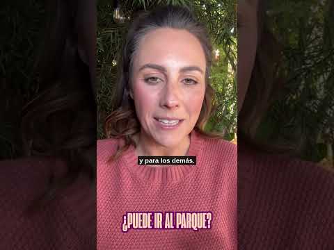 ¿Mi perro está listo para ir al parque?