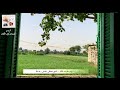 نوادر تلاوات الكبار مصطفى إسماعيل رحمه الله سورة الضحى برواية خلف عن حمزة