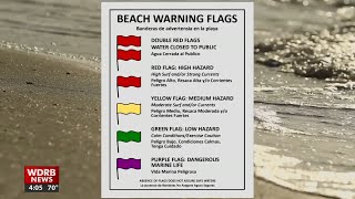 Louisville vacationers, shark expert express shock at rash of attacks over the weekend in Florida