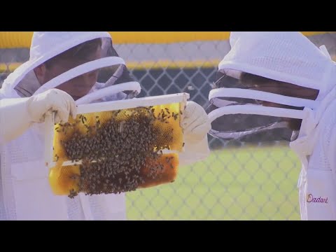 Pamlico County High School teacher receives grant for beekeeping program