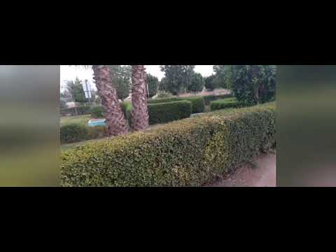 جوله في باحه الاستراحه