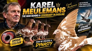 Karel Meulemans: How He Built a Legendary Pigeon Bloodline 🕊️Unique Colour & Performance