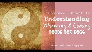 Understanding Warming and Cooling Foods for Dogs