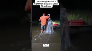 Cast-netting SHRIMP at Night from the Bank! Catch Clean Cook part1#fishing #fishtok #fish #usa