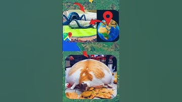 I Found Two Mysterious Places Found 😶‍🌫️😱 on google maps and google earth 🌎 #shots #datachampion