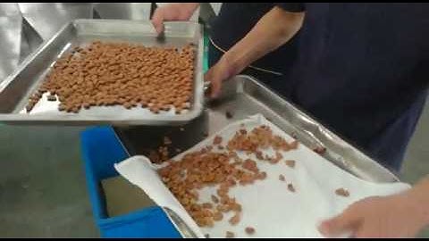 First sorting apricot kernel and shell