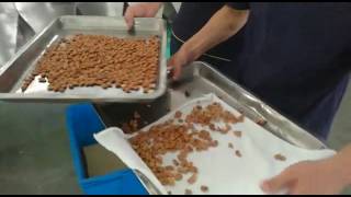 First sorting apricot kernel and shell