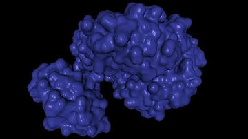 Who discovered luciferase?