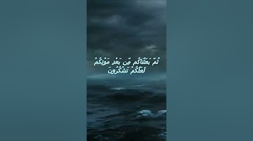 سورة البقرة اية 56 - مع صوت البحر بصوت جميل - ثُمَّ بَعَثْنَاكُم مِّن بَعْدِ