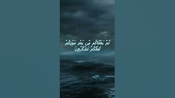 سورة البقرة اية 56 - مع صوت البحر بصوت جميل - ثُمَّ بَعَثْنَاكُم مِّن بَعْدِ