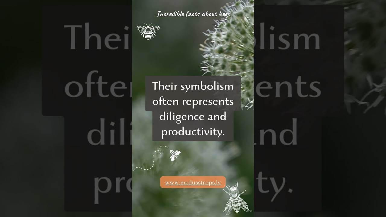 he Dance of the Bees: Surprising Bee Communication! 