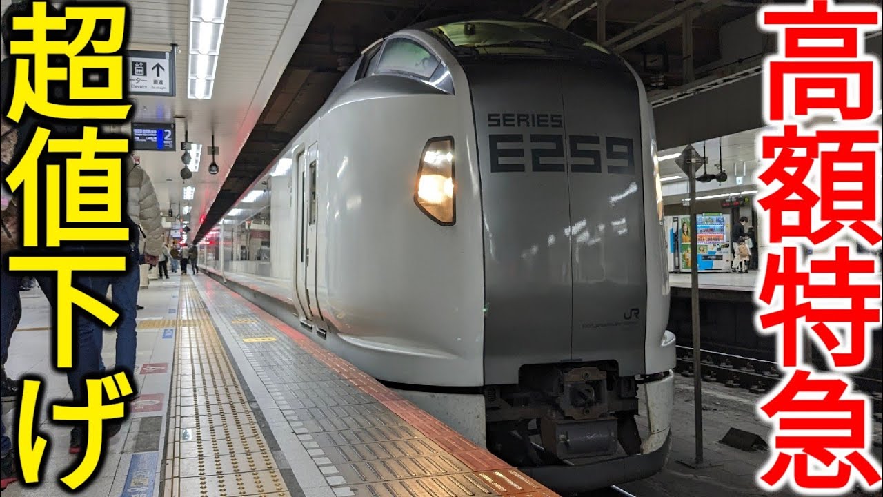 超特大蘇鉄  値下げしました！ スウェーデン国鉄、2026年に新型高速鉄道車両「Zefiro Express」を導入