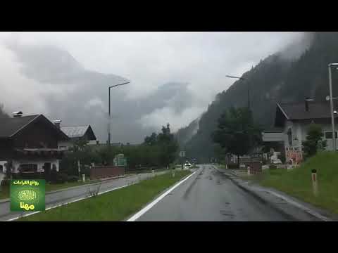 ١٦ قال هي راودتني عن نفسي تلاوة بصوت يوسف أبكر