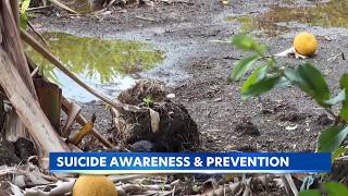 Suicide Prevention and Awareness Month highlights mental health in Hawaii’s agriculture industry