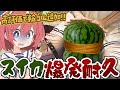 【事故注意】カメラON⁉️輪ゴムでスイカ割りチキンレースッ🍉💦ミニ告知有!#めいの庭【芽唯/VTuber】
