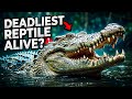3,700 PSI: How the Saltwater Crocodile Became the World’s Deadliest Reptile