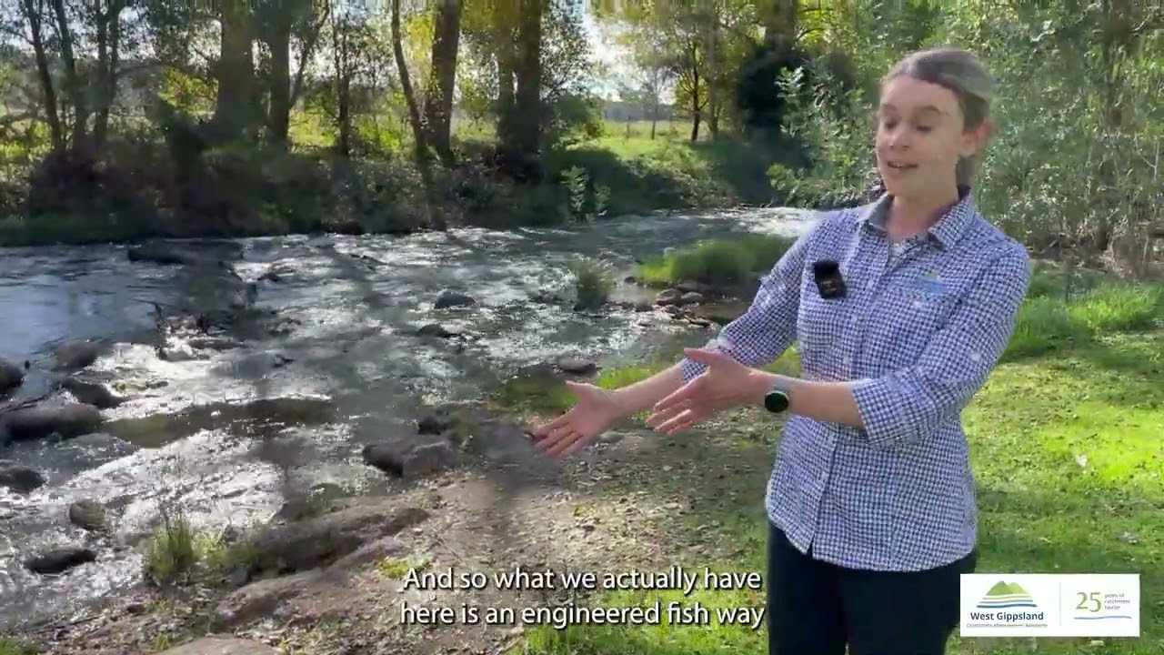 Dr Stephanie Suter discusses the Cowwarr Fishway