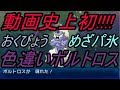 【神回】【ポケットモンスター】動画史上初!!!!　幻のおくびょうめざパ氷色違いボルトロスを手に入れました!!【アルファサファイア】【ウルトラ ムーン】