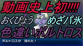 神回 色違いボルトロスを1回のliveで複数回降臨させた男 ポケットモンスター アルファサファイア Youtube