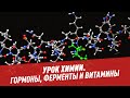 Химия гормонов, ферментов и витаминов - Школьная программа для взрослых