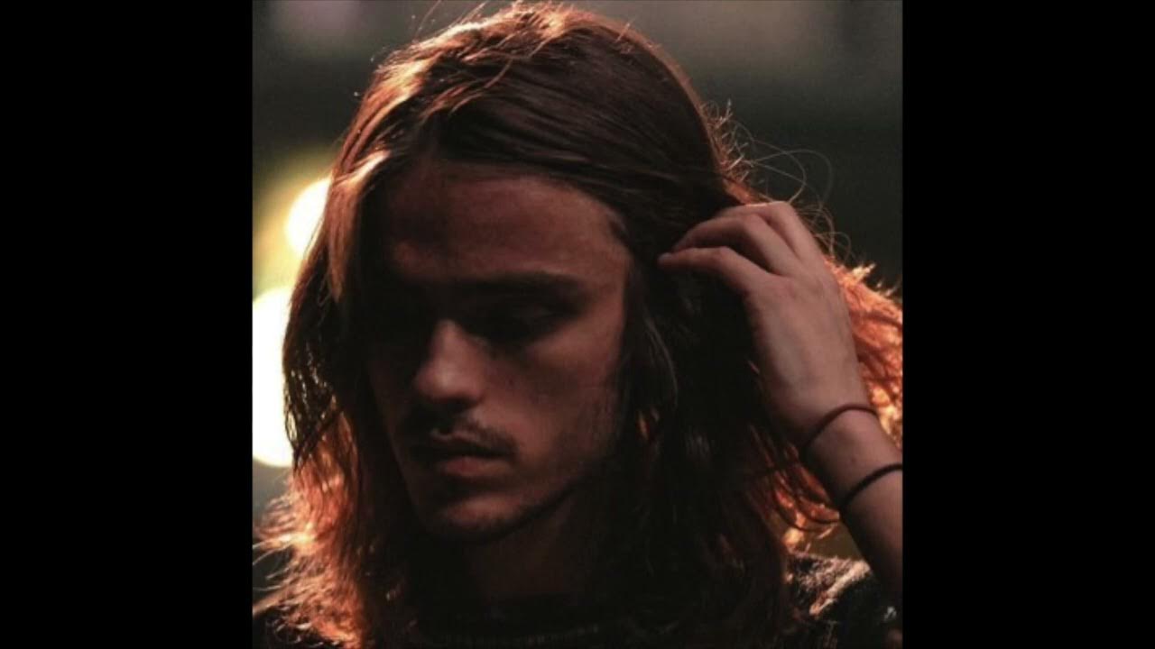 brakence venus fly trap YouTube