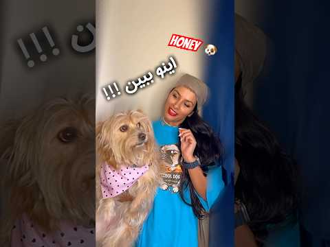 چرا همیشه زود میرم خونه    