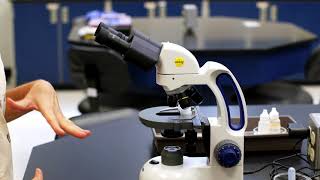 Essential Equipment in Biology - A. Parts of the Microscope