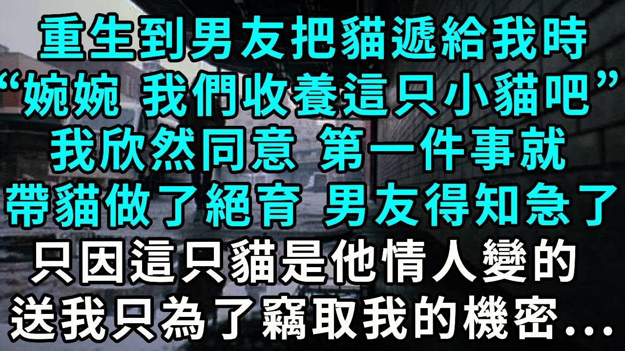 重生到男友把貓遞給我時，“婉婉 我們收養這只小貓吧”，我欣然同意 第一件事就帶小貓做了絕育， 男友得知急了，只因這只貓是他情人變的，送我只為了竊取我的機密...