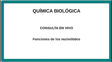 ¿Cuáles son las funciones de los nucleótidos?