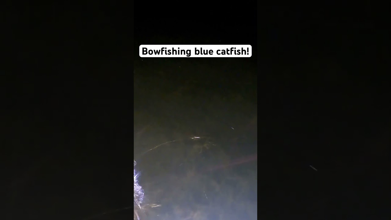 Bowfishing 