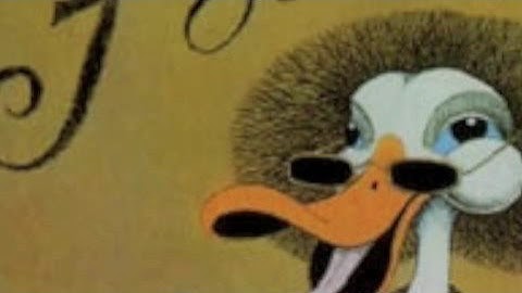 Fuzzy Duck - Country boy