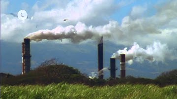 Science Nation - Lord of the Tree Rings