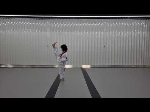 2021 백석대학교 총장배 온라인태권도대회 (공인품새 개인전 유급자부 이다연 태극 3장)