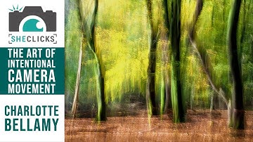 Charlotte Bellamy: The Art of Intentional Camera Movement