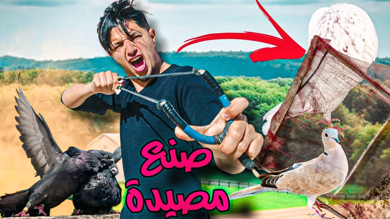 اجيو تشوفوا كيفاش صوبت مصيده ديال الحمام والطيور 🔥 من اجل صيد الحمام 🏹