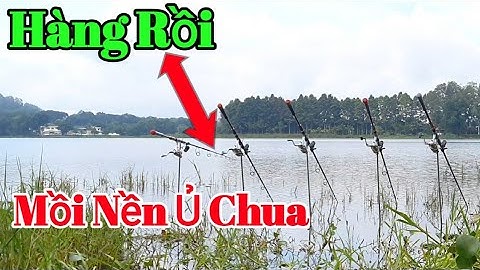 Bài Mồi Nền Ủ Chua Chuyên Câu Cá Trôi, Chép, Trắm, Phi, Hiệu Quả - Dễ Làm P4