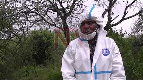 Gov’t starts aerial spraying to end locusts