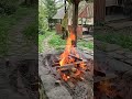 Fine Fire