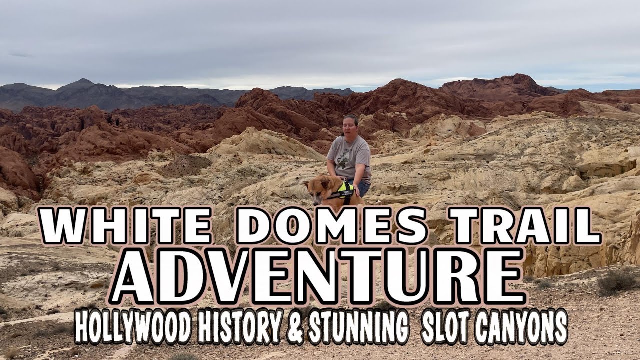 Exploring the White Domes Trail – A Journey Through History and Sandstone Wonders| A&G Adventures
