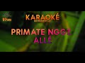 Karaok  primate nggz  all  instrumentale 