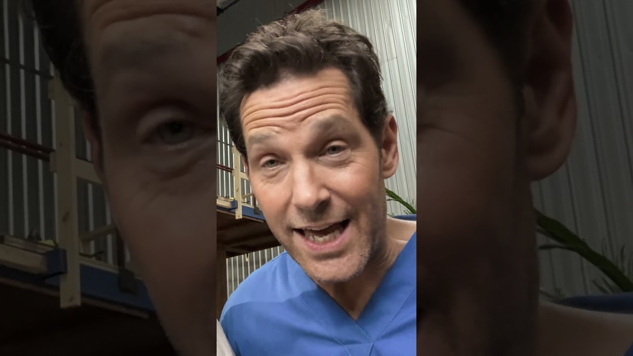 Jack Black and Paul Rudd are making a movie! 