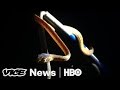 Guam's Snake Invasion & Chernobyl Nuclear Power Plant: VICE News Tonight Full Episode (HBO)