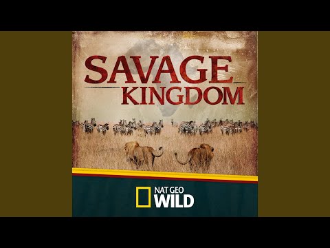 Savage Kingdom